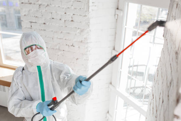 Best Commercial Mold Inspection  in Ludowici, GA