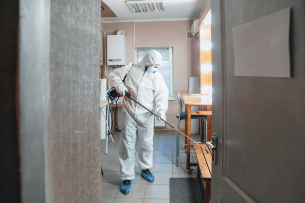 Best Comprehensive Air Testing for Mold Contaminants  in Ludowici, GA