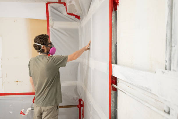  Ludowici, GA Mold Removal Pros