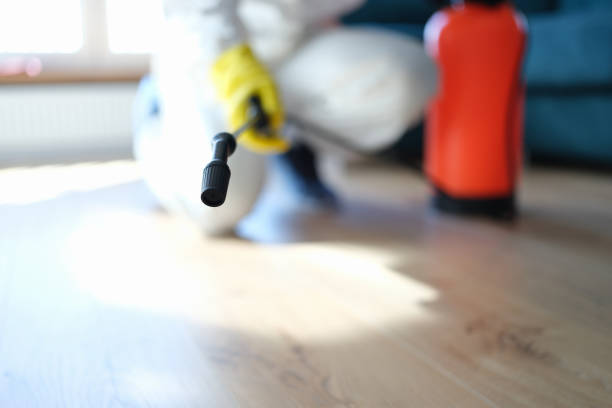 Best Indoor Air Quality Assessment  in Ludowici, GA