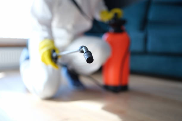 Best Post-Remediation Verification Testing  in Ludowici, GA